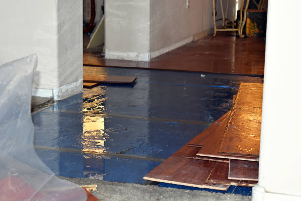 Professional Basement Flood Cleanup technician working in Brighton, MI