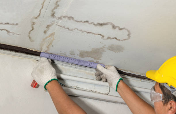 Reliable Basement Flood Cleanup contractor in Brighton, MI by Aqua Guard Water Damage